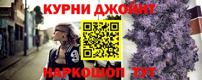 сатива Гай