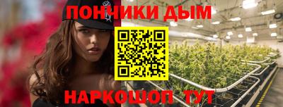 МДПВ Гатчина