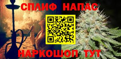 МДПВ Гатчина