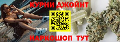 сатива Гай