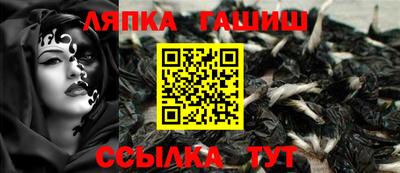 сатива Гай