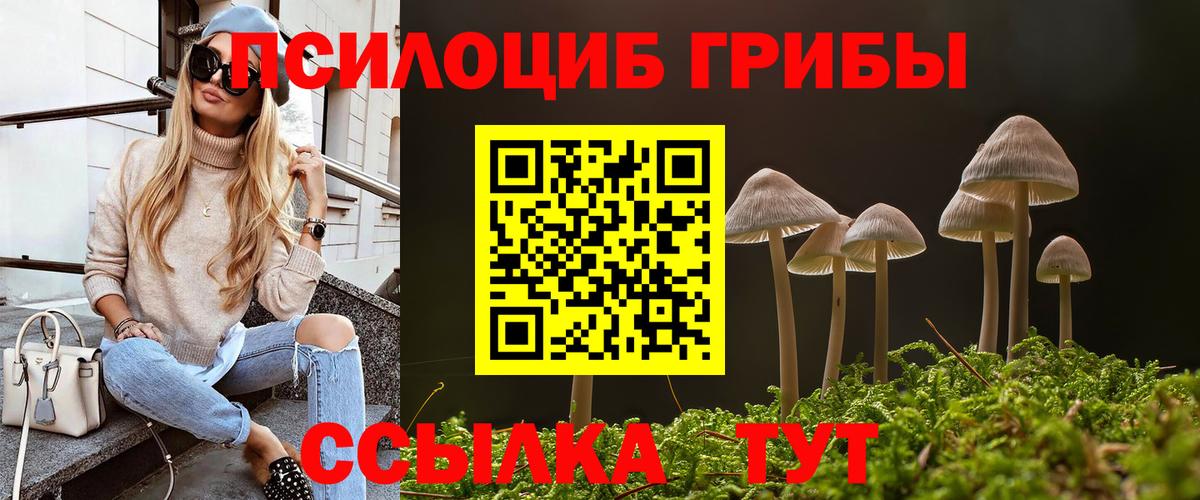 Зеленокумск  Псилоцибиновые грибы Magic Shrooms  Вход с VPN 